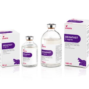 Equine Archives - Forte Healthcare