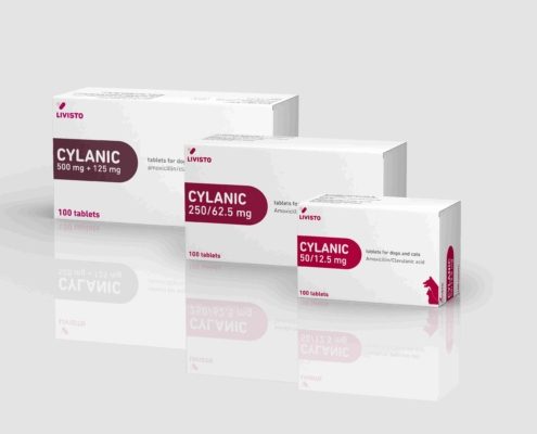 Cylanic_IRE_ForteHealthcare