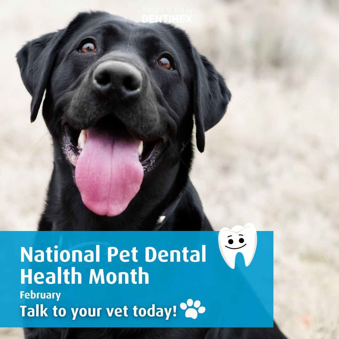 NATIONAL DENTAL HEALTH MONTH -DOG