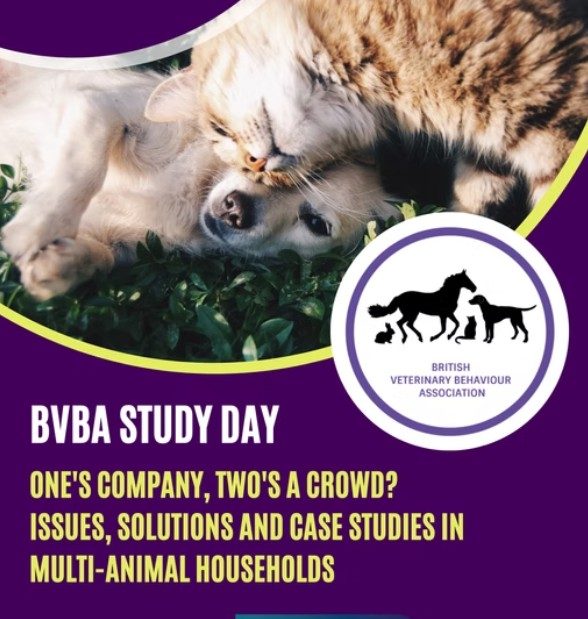 BVBA_image