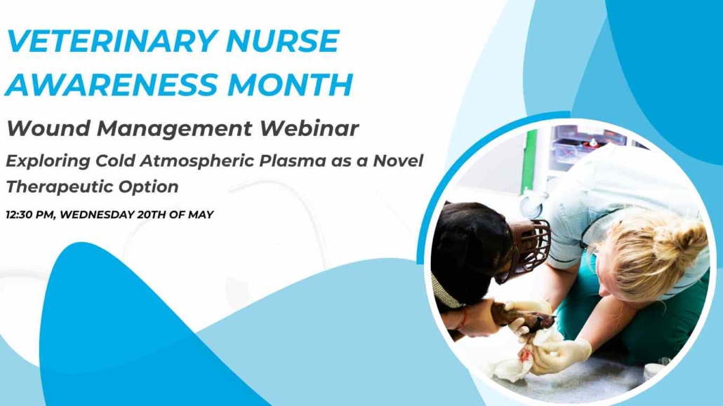 Veterinary Nurses Awareness Month with photos (Website) (2)