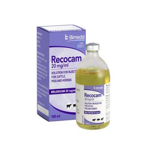 Recocam 20mg/ml (Poland only)