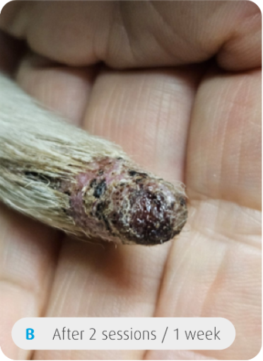 After treatment